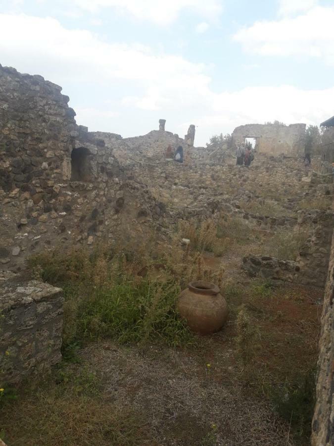 Apartamento Rosy Monolocale Nel Centro Storico Di Torre Annunziata Di Fronte Scavi Oplonti Exterior foto